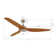 Airfusion Ceiling Fan