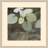 Pond Of Lilly 6 Print