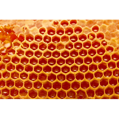 «Emran Honeycomb On Canvas» par Jordan_Rusev, photographie