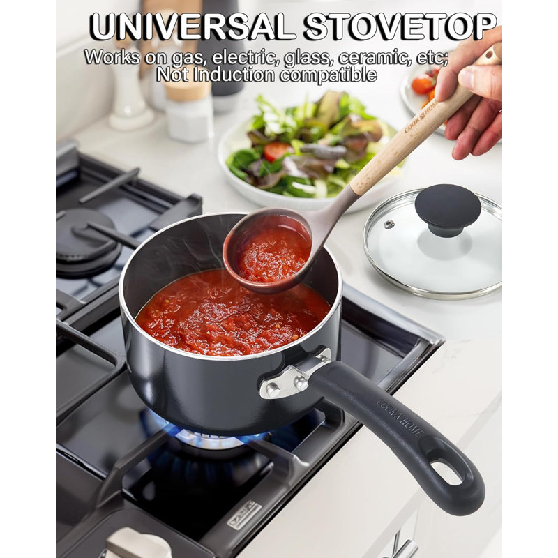 Cook N Home Basic 1 Quart Nonstick Saucepan with Glass Lid, Small Non Stick Aluminum Sauce Pan, Multi-Purpose Milk Chocolate Cooking Pot with Stay-Cool Handle, Black