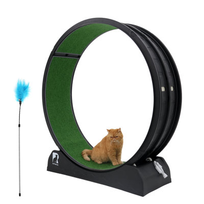 Plastic Cat Exercise Wheel With Interactive Toy For Indoor Cats With Replaceable Runway And Safety Lock