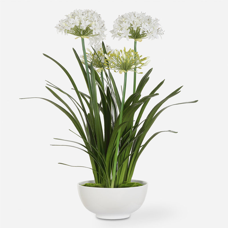 Centre de table Agapanthus de pureté