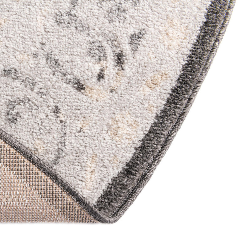 Akins Oriental Indoor Rug, Round 5'
