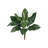 Spathifyllum Artificial Plant