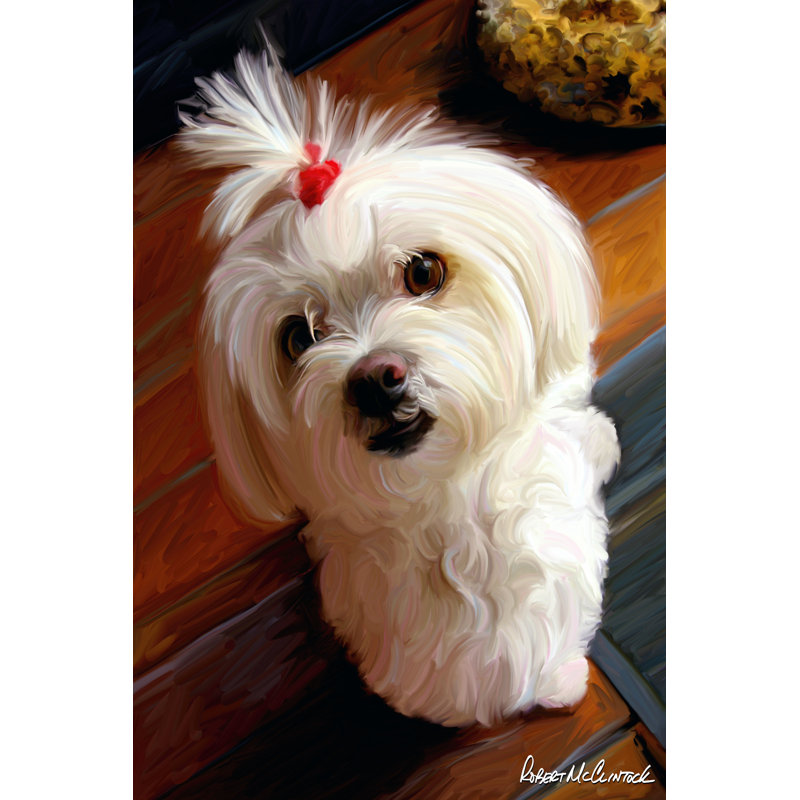 Mini Maltese - Wrapped Canvas Print, 46cm H x 30cm W x 3.8cm D