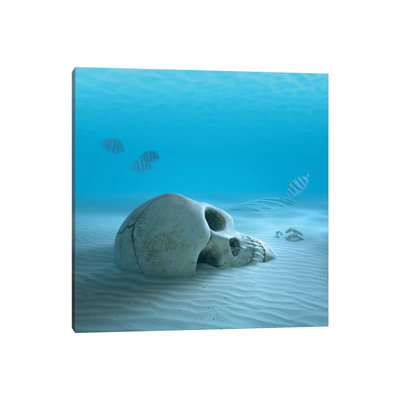 «Skull on Sandy Ocean Bottom with Small Fish Nettoyage de certains os» par Johan Swanepoel - impression sur toile tendue