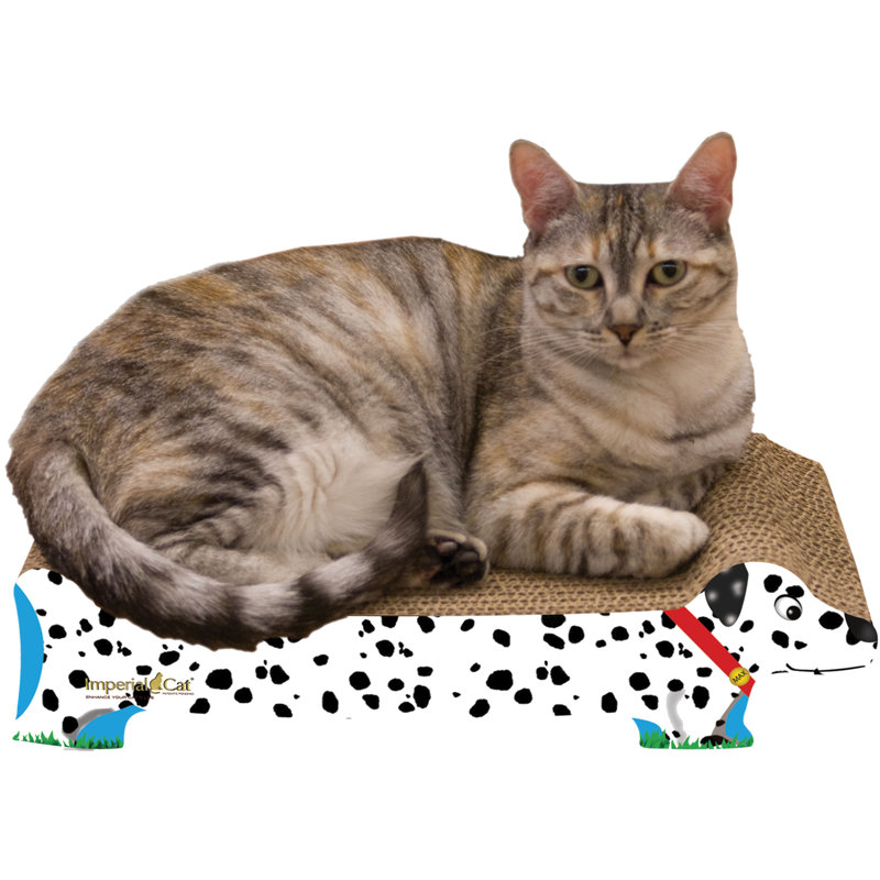 Grattoir petit chien / chat Chou, Dalmatien