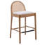 Tabourets de bar modernes avec tabourets de bar rembourrés avec dossier en rotin et pieds en bois-319297922-319297921