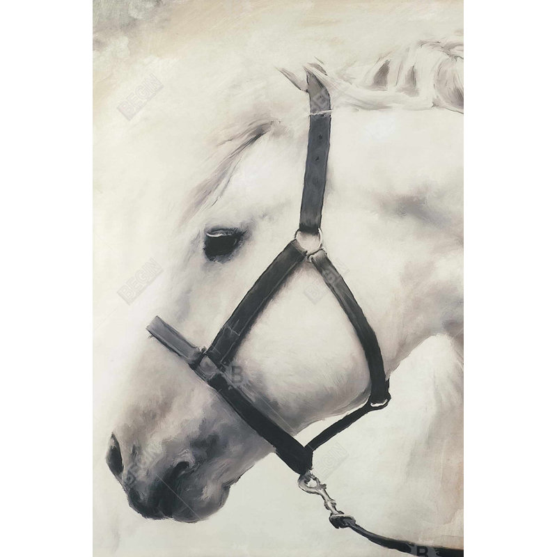 "Darius le cheval blanc", H 36 po x l 24 po
