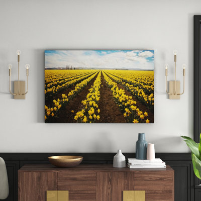 Sylvia Cook - Wrapped Canvas Painting