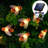 Solar String Lights