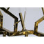 Lustre Acropora à branches claires-90566487-90566491-130734884