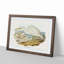 White Reef Herons by Elizabeth Gould - Framed Print-55612553-55612556