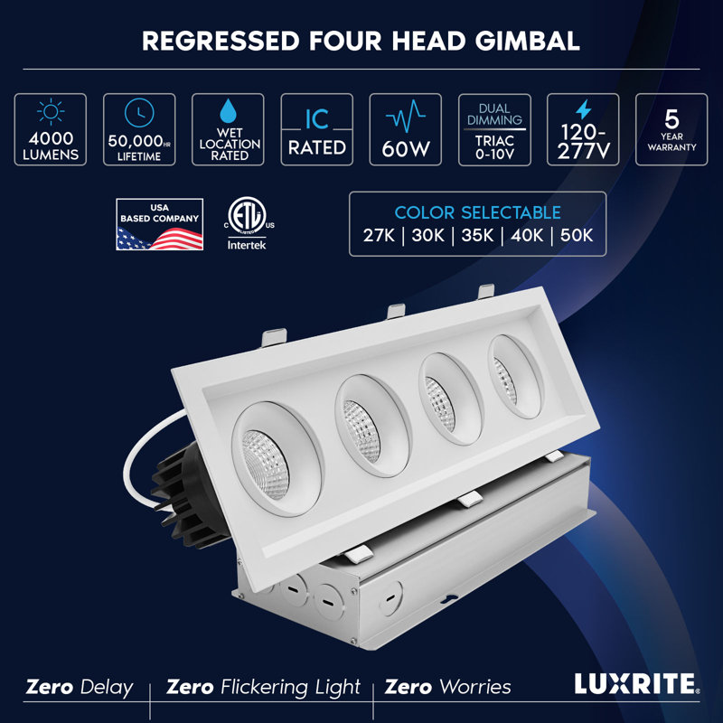 Projecteur encastré rectangulaire à 4 têtes DEL Luxrite, Blanc
