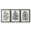 Palm Morph I - impression encadrée sur mesure de qualité supérieure mate - 3 pièces-1521821774-1521821772