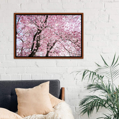 " Cherry Blossom " by Stefan Hefele