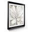 " Simply Soft " Painting Print-359870818-359870816