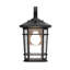 Williams 1- Light Black 15" H Outdoor Wall Lantern GFCI Outlet Dusk to Dawn (Bulb Included)