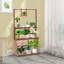 Tutuala Wood Plant Stand