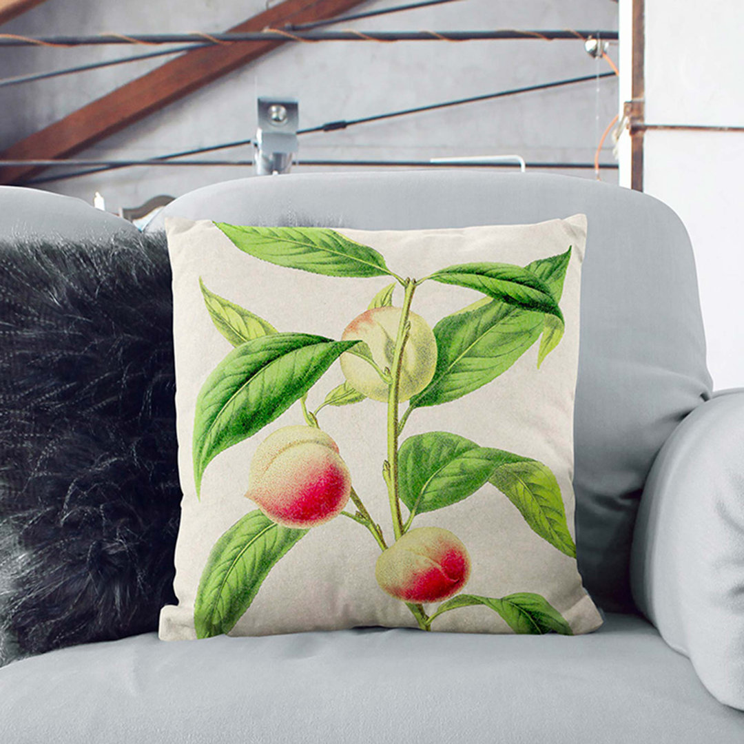 Illustration of Peaches Cushion with Filling