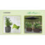 Classico Pot Planter-60539206