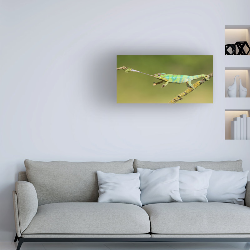 Art sur toile Milan Zygmunt Panther, H 10 po x l 19 po