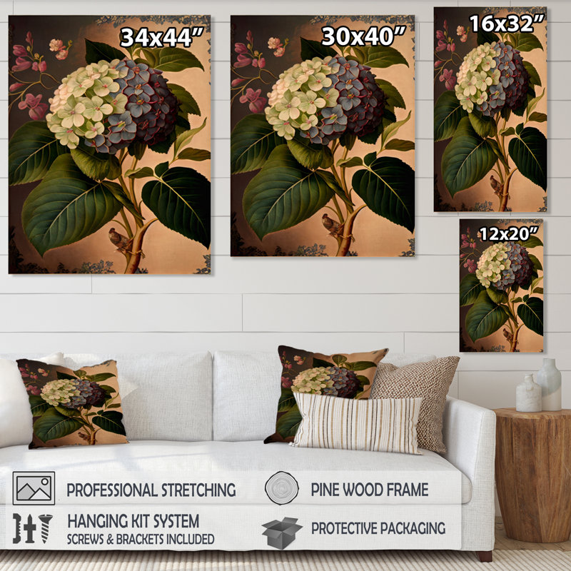 Victorienne rétro Hydrangena I - art mural sur toile florale, H 40 po x l 30 po x P 1,5 po, Toile tendue
