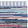 Sue Cotton Hand Woven Area Rug