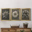 «Blossfeldt Flower I», ensemble de 3 impressions sur toile encadrées-1488156597-1488156593