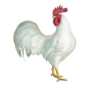 Noble Rooster I par Danhui Nai - peinture sur toile tendue