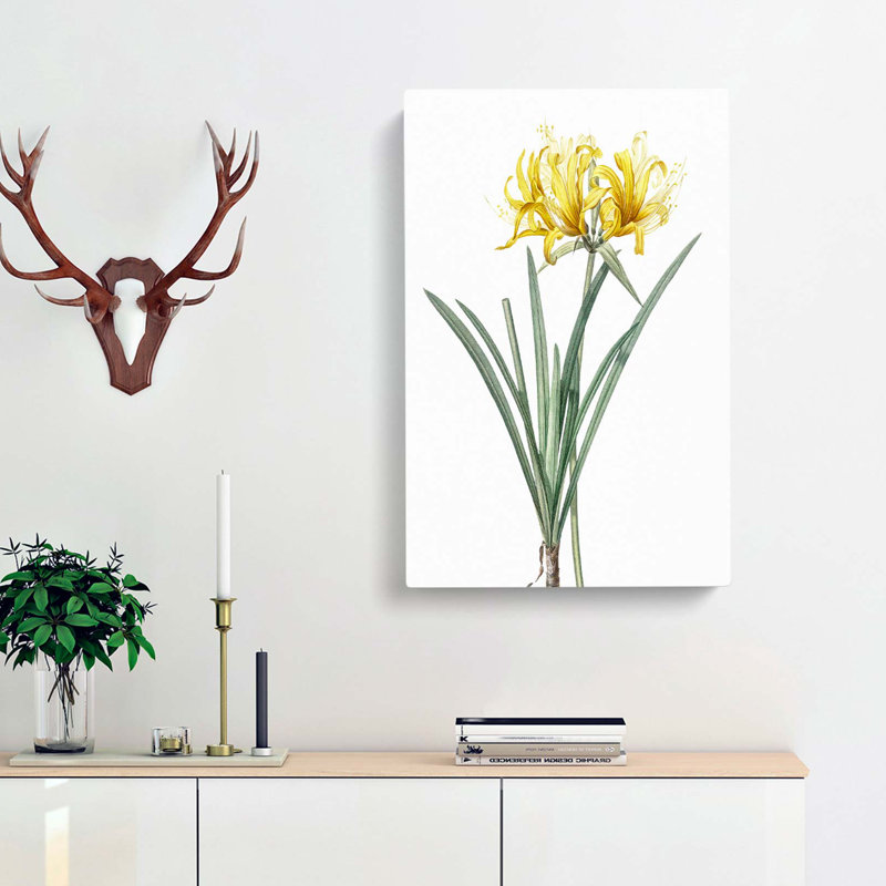 Golden Hurricane Lily by Pierre-Joseph Redoute - Wrapped Canvas, 50cm H x 35cm W x 3cm D