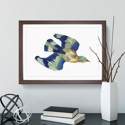 Indian Roller Bird by George Shaw - Picture Frame Graphic Art Print