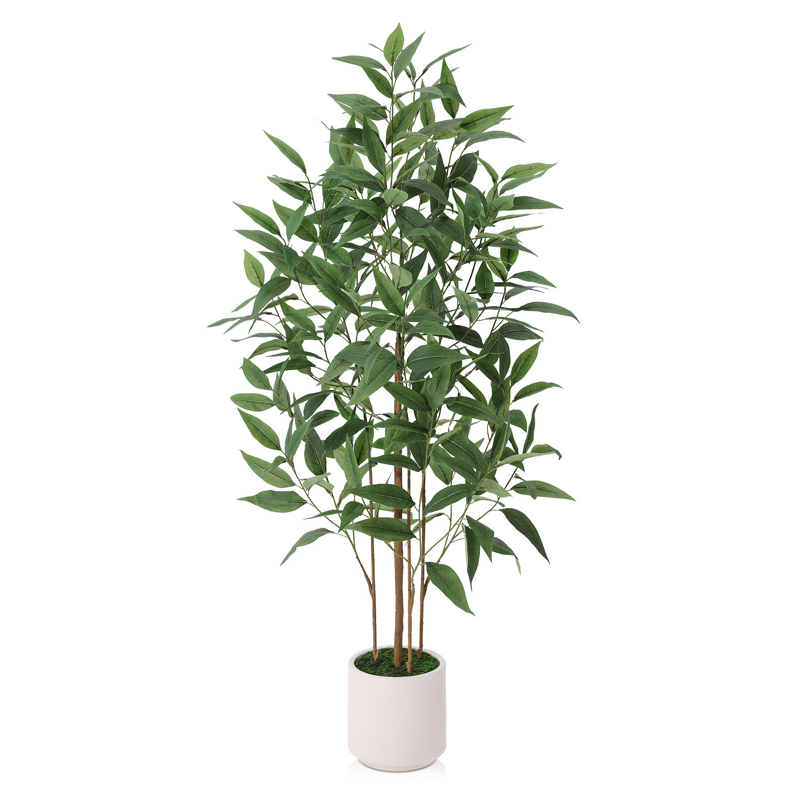 Ashwell 60" Eucalyptus Tree in Planter, 48