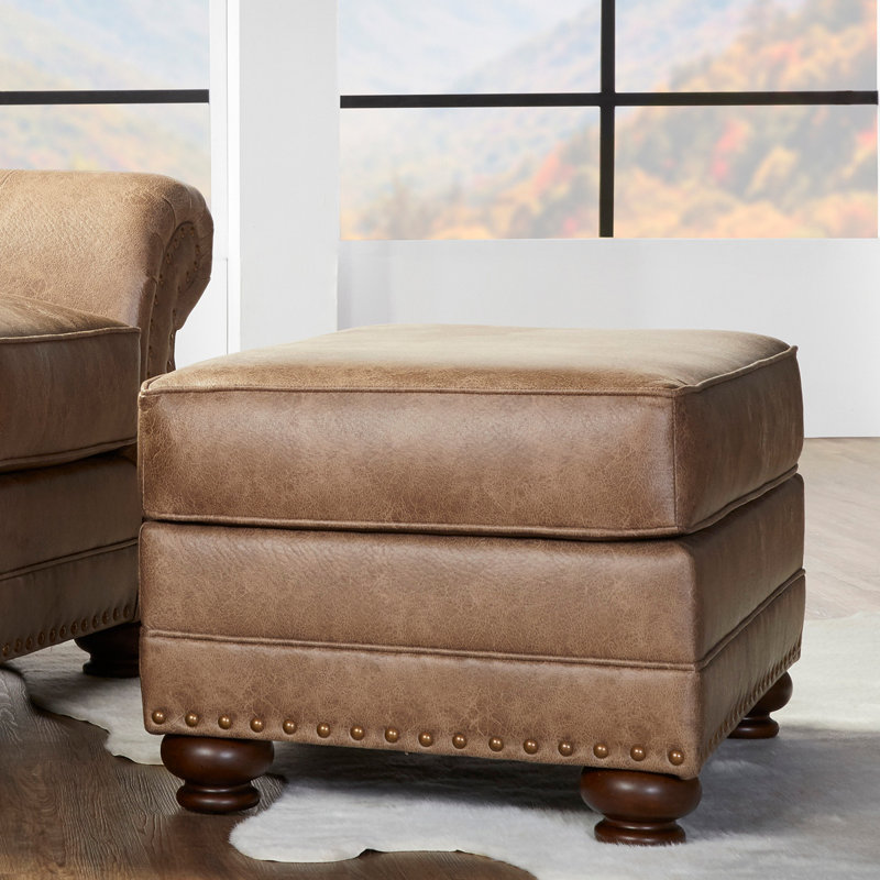 Ensemble de 2 chaises avec accoudoirs et repose-pieds Leinster, Brun