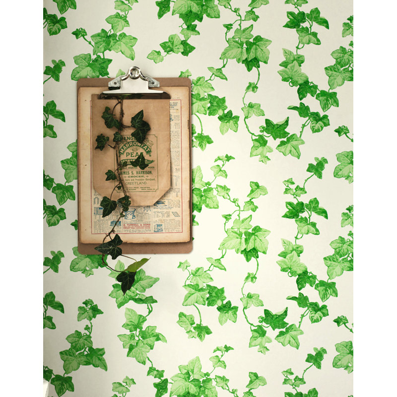 Hedera Wallpaper