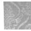 Damask Area Rug in Silver