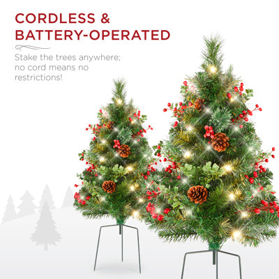 The Holiday Aisle® 2.5' Lighted Pine Christmas Tree & Reviews | Wayfair