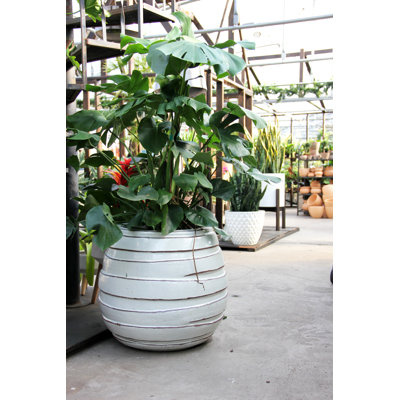 25 in. Metropole Planter - Antique White