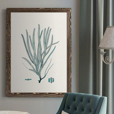 Heffron Antique Coastal Coral VII, reproduction d'art sur toile