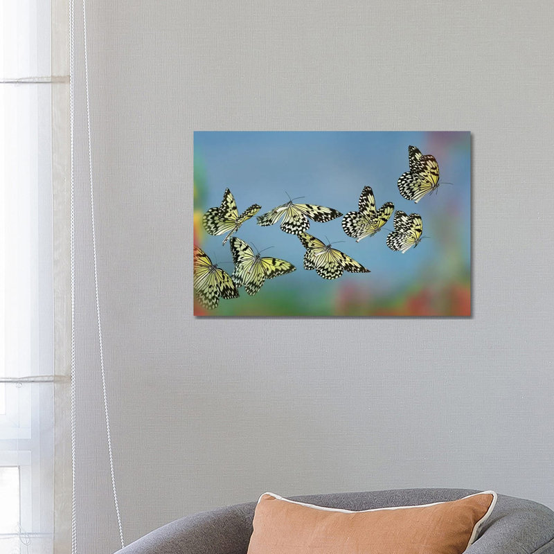 Paper Kite Butterflies Flying, Philippines by Tim Fitzharris - Print on Canvas, Wrapped Canvas