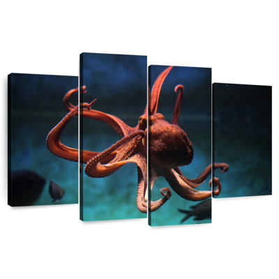 Octopus Vulgaris