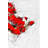 Abstract Red Flowers Canvas | White Frame | Home Decor Art