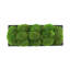 Corder Preserved Moss Arrangement In Oblong Planter-111987409