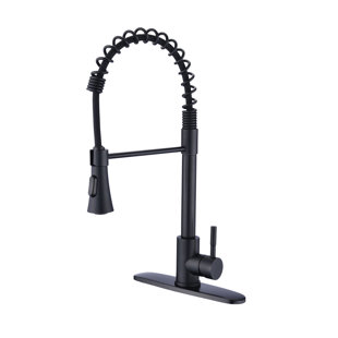 Zupora Pull Down Kitchen Faucet