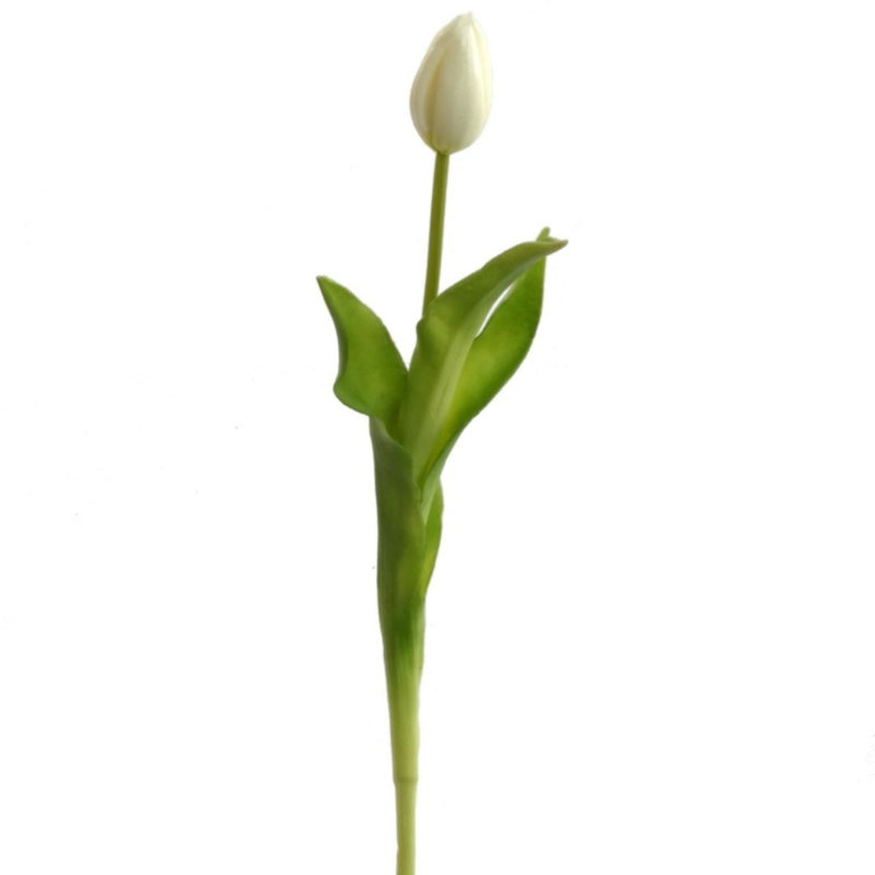 Seymour Tulip Arrangement