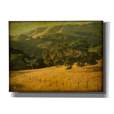 Oak And Fence' by William Guion, Canvas Wall Art