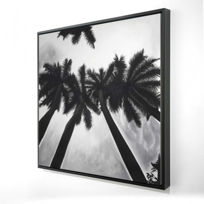 Palmiers monochromes