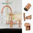 Double Handle Kitchen Faucet With Side Spray-70944579