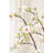 Magnolia Flowering Tree (white)