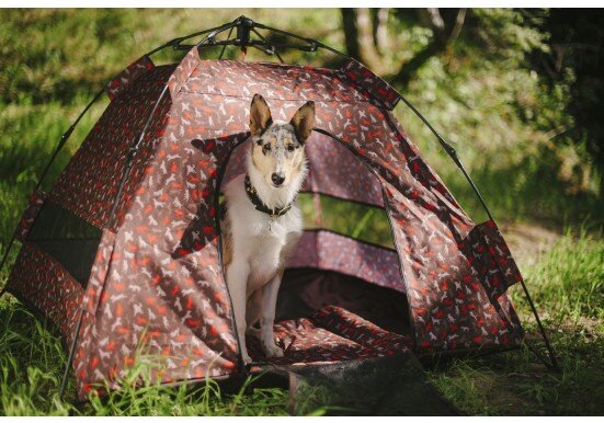 Darrell Outdoor Dog Tent